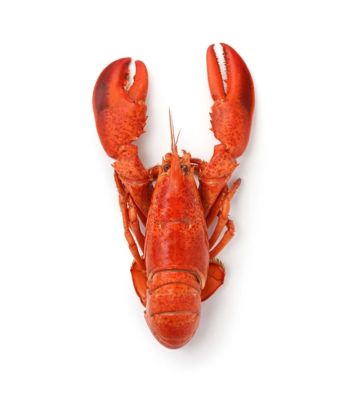 vg-sf-frshs-8.jpg Whole Cornish Lobster — изображение 1